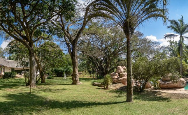 afkickkliniek in zuid afrika